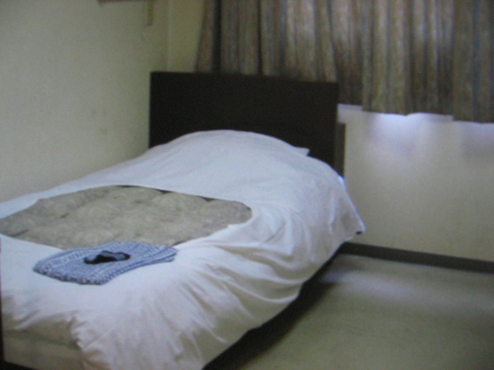 Business Hotel Shinsuma Hekinan Exterior foto